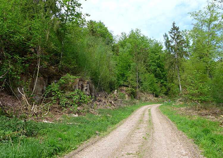 Klicke auf die Grafik für eine vergrößerte Ansicht  Name: Weserberglandweg_603.jpg Ansichten: 0 Größe: 275,3 KB ID: 3324485