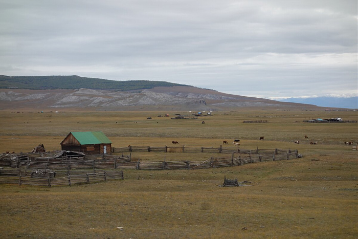 Klicke auf die Grafik für eine vergrößerte Ansicht

Name: mongolei214.jpg
Ansichten: 237
Größe: 169,4 KB
ID: 3325312