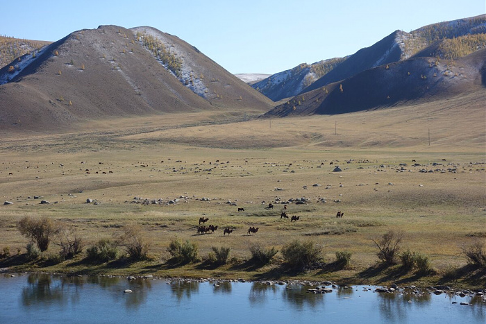 Klicke auf die Grafik für eine vergrößerte Ansicht

Name: mongolei297.jpg
Ansichten: 193
Größe: 260,6 KB
ID: 3325676