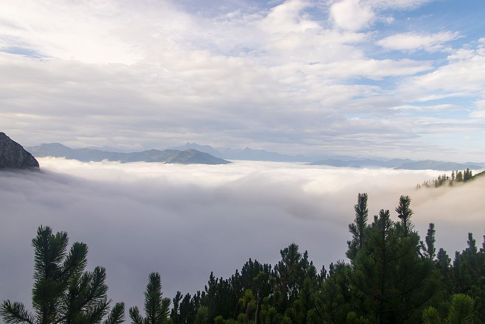 Klicke auf die Grafik für eine vergrößerte Ansicht  Name: 08 Gleich tauche ich in die Wolken ein.jpg Ansichten: 0 Größe: 125,4 KB ID: 3327228