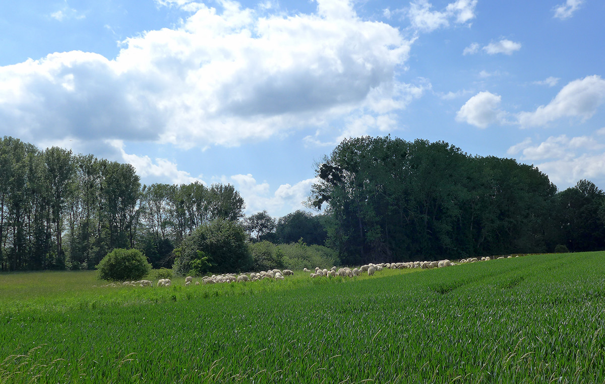Klicke auf die Grafik für eine vergrößerte Ansicht  Name: Weserberglandweg_616.jpg Ansichten: 0 Größe: 364,3 KB ID: 3328322