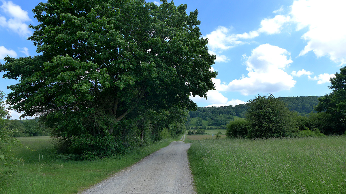 Klicke auf die Grafik für eine vergrößerte Ansicht  Name: Weserberglandweg_616_2.jpg Ansichten: 0 Größe: 379,1 KB ID: 3328325