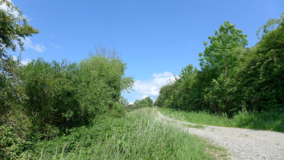 Klicke auf die Grafik für eine vergrößerte Ansicht  Name: Weserberglandweg_620.jpg Ansichten: 0 Größe: 449,0 KB ID: 3328330