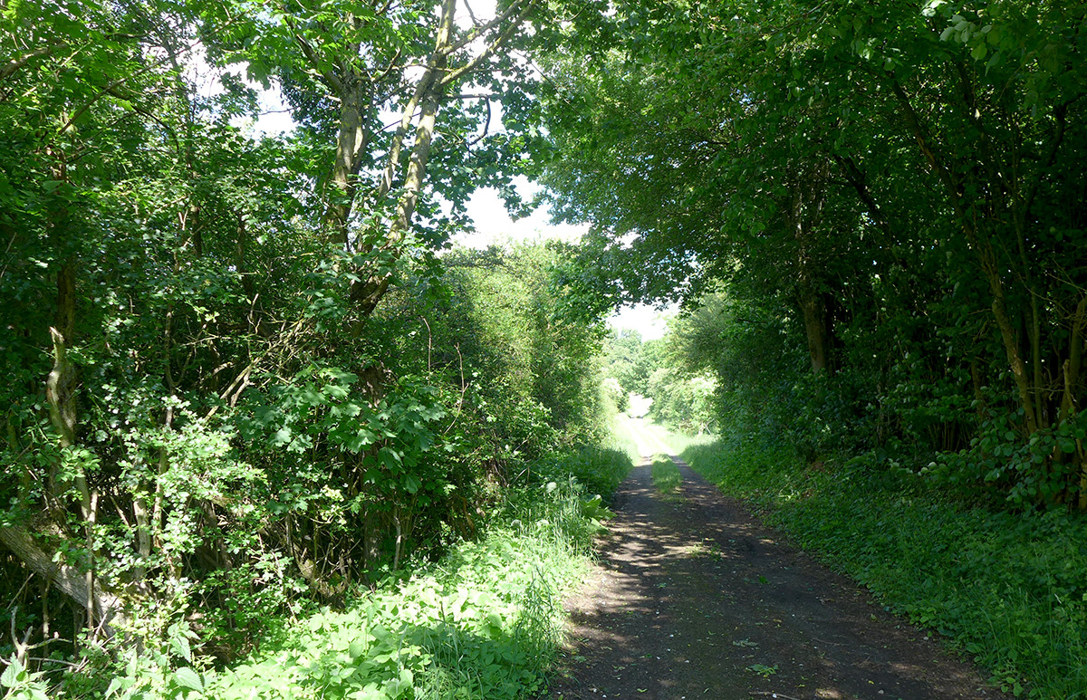 Klicke auf die Grafik für eine vergrößerte Ansicht  Name: Weserberglandweg_623.jpg Ansichten: 0 Größe: 640,5 KB ID: 3328336