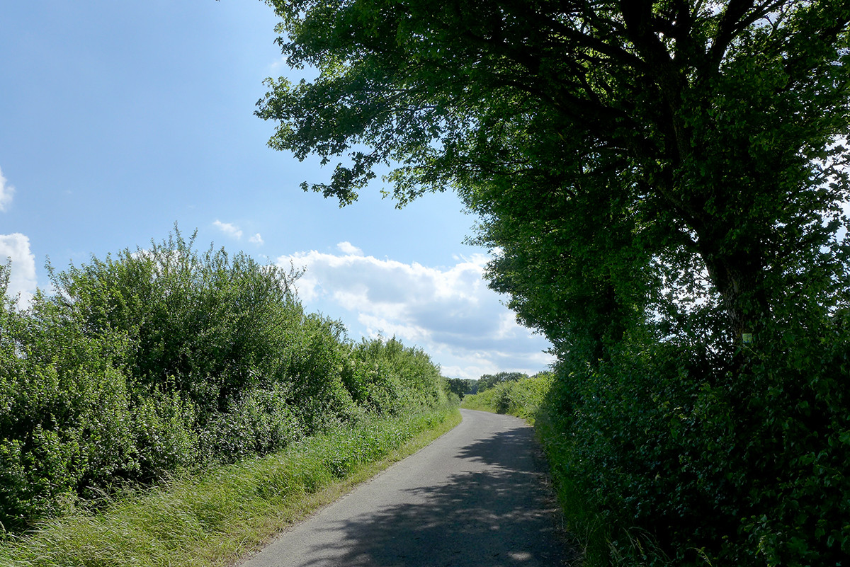 Klicke auf die Grafik für eine vergrößerte Ansicht  Name: Weserberglandweg_632.jpg Ansichten: 0 Größe: 507,8 KB ID: 3328340