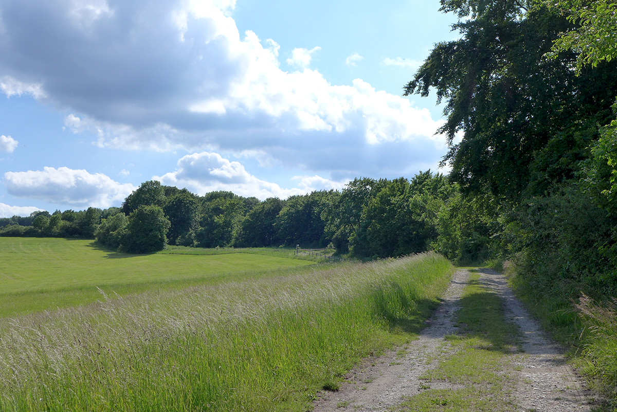 Klicke auf die Grafik für eine vergrößerte Ansicht  Name: Weserberglandweg_633.jpg Ansichten: 0 Größe: 416,4 KB ID: 3328342