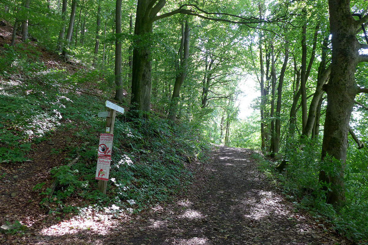 Klicke auf die Grafik für eine vergrößerte Ansicht  Name: Weserberglandweg_638.jpg Ansichten: 0 Größe: 675,6 KB ID: 3328344
