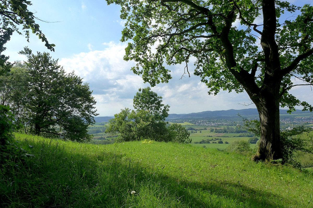 Klicke auf die Grafik für eine vergrößerte Ansicht  Name: Weserberglandweg_637.jpg Ansichten: 0 Größe: 571,2 KB ID: 3328348