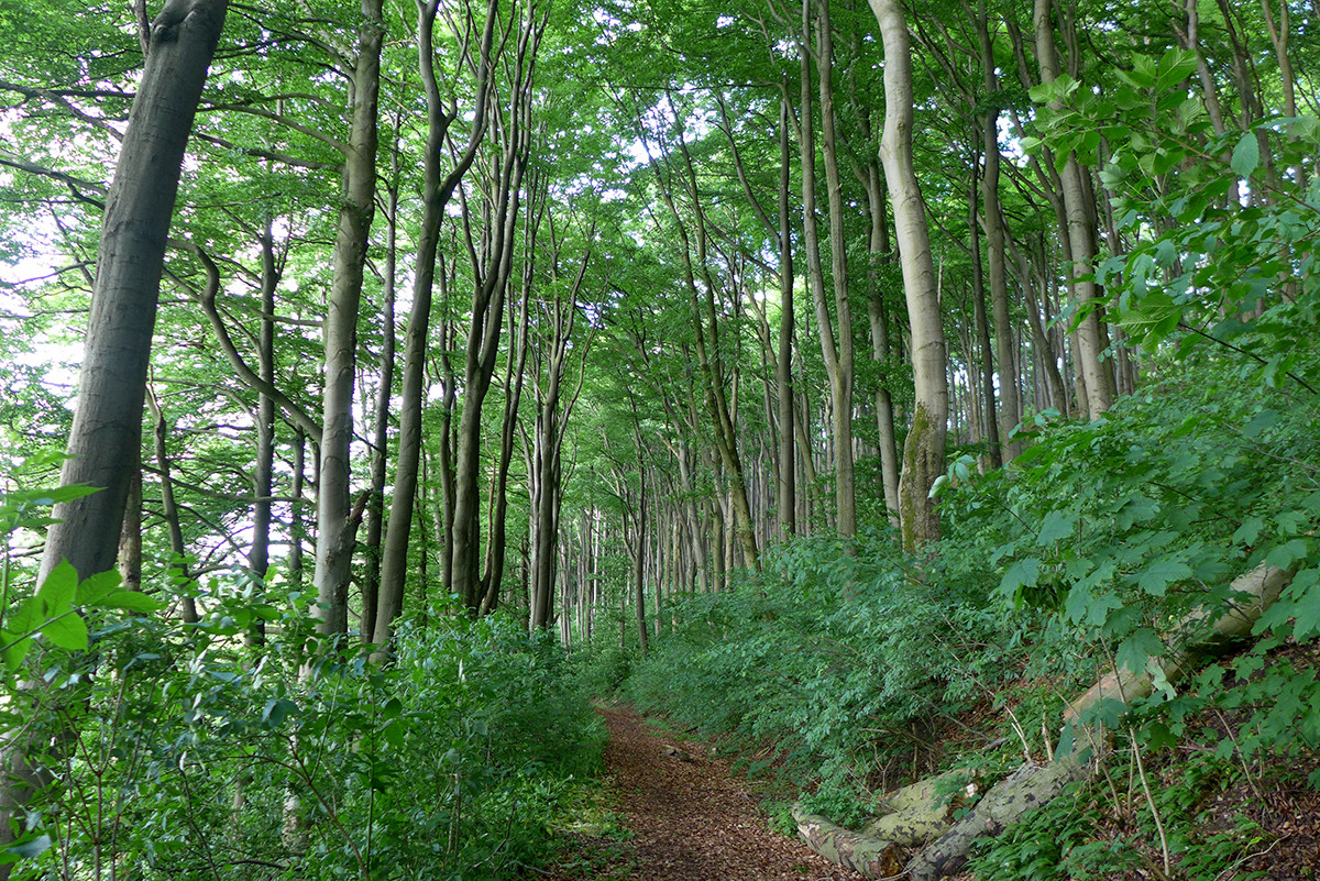 Klicke auf die Grafik für eine vergrößerte Ansicht  Name: Weserberglandweg_642.jpg Ansichten: 0 Größe: 685,6 KB ID: 3328351