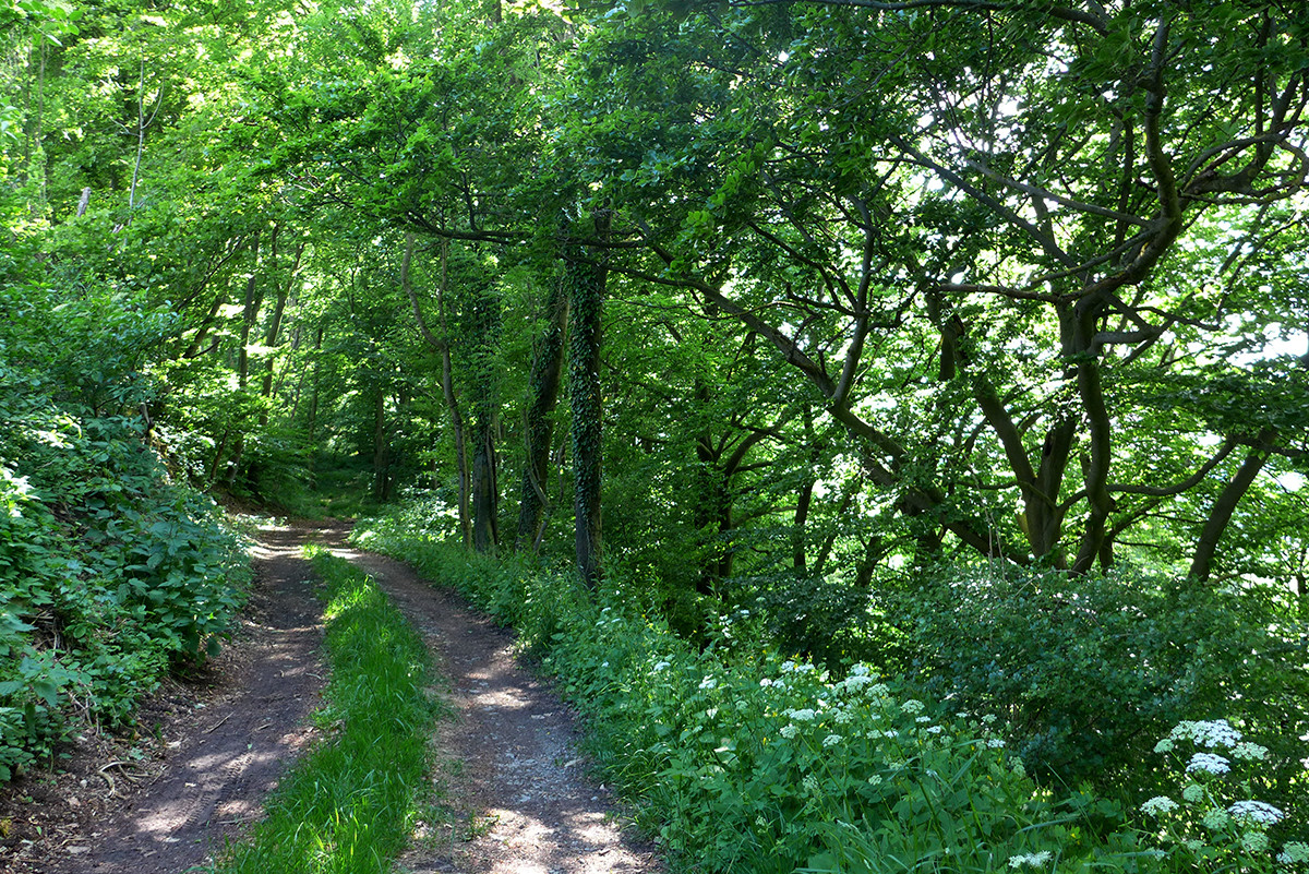 Klicke auf die Grafik für eine vergrößerte Ansicht  Name: Weserberglandweg_635.jpg Ansichten: 0 Größe: 759,4 KB ID: 3328352
