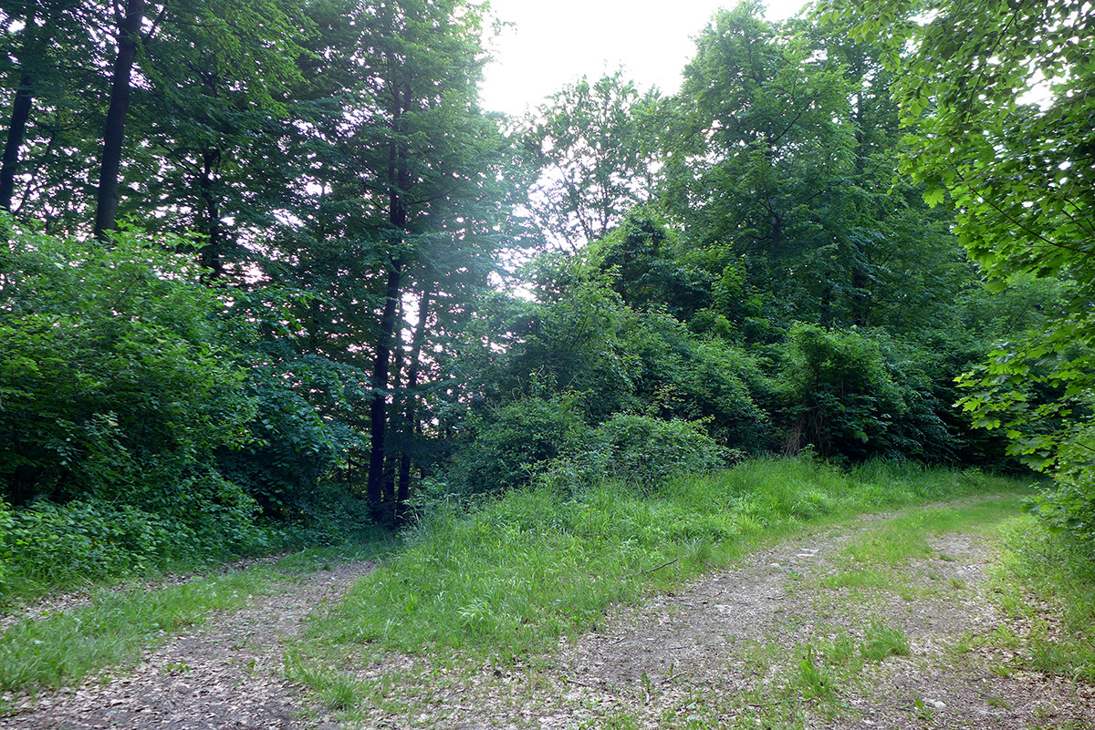 Klicke auf die Grafik für eine vergrößerte Ansicht  Name: Weserberglandweg_646.jpg Ansichten: 0 Größe: 692,5 KB ID: 3328353
