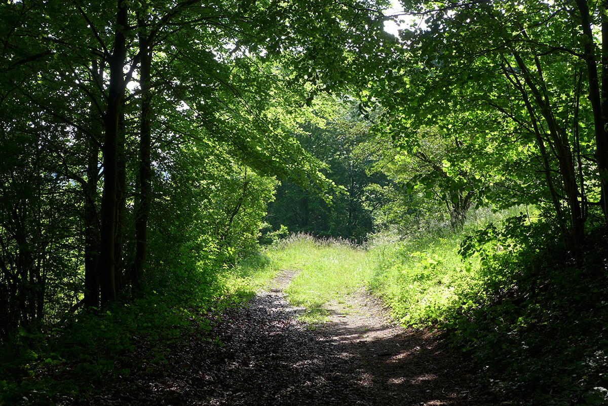 Klicke auf die Grafik für eine vergrößerte Ansicht  Name: Weserberglandweg_647.jpg Ansichten: 0 Größe: 666,2 KB ID: 3328357