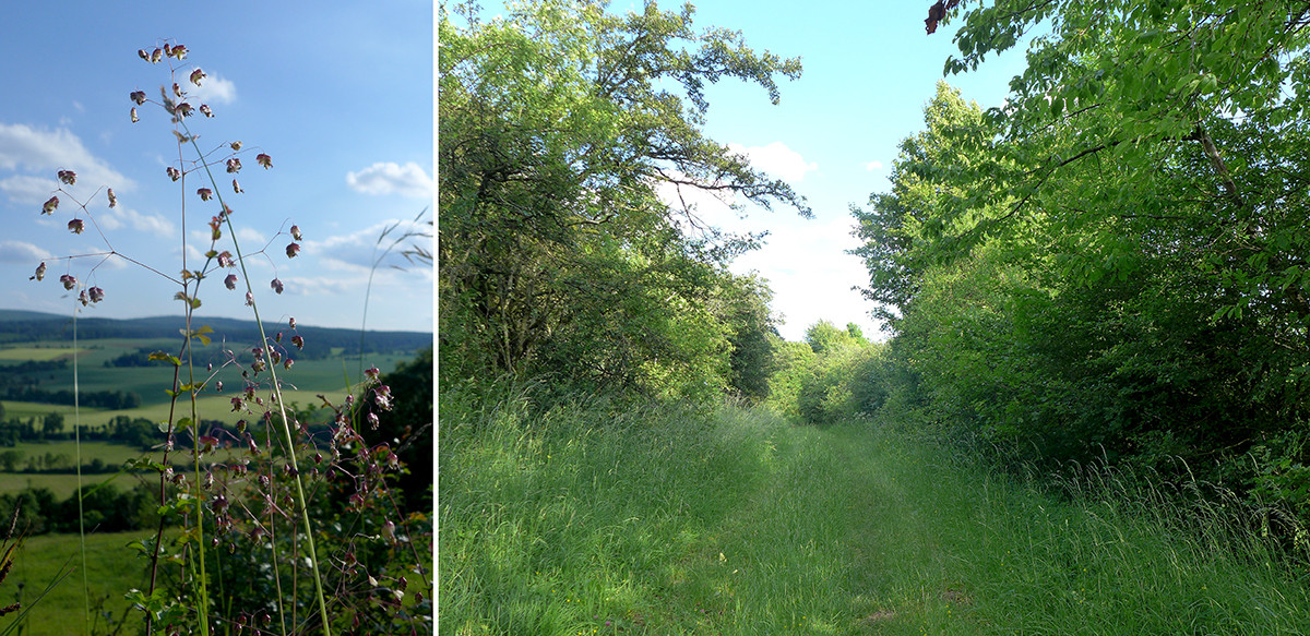 Klicke auf die Grafik für eine vergrößerte Ansicht  Name: Weserberglandweg_650.jpg Ansichten: 0 Größe: 397,0 KB ID: 3328358