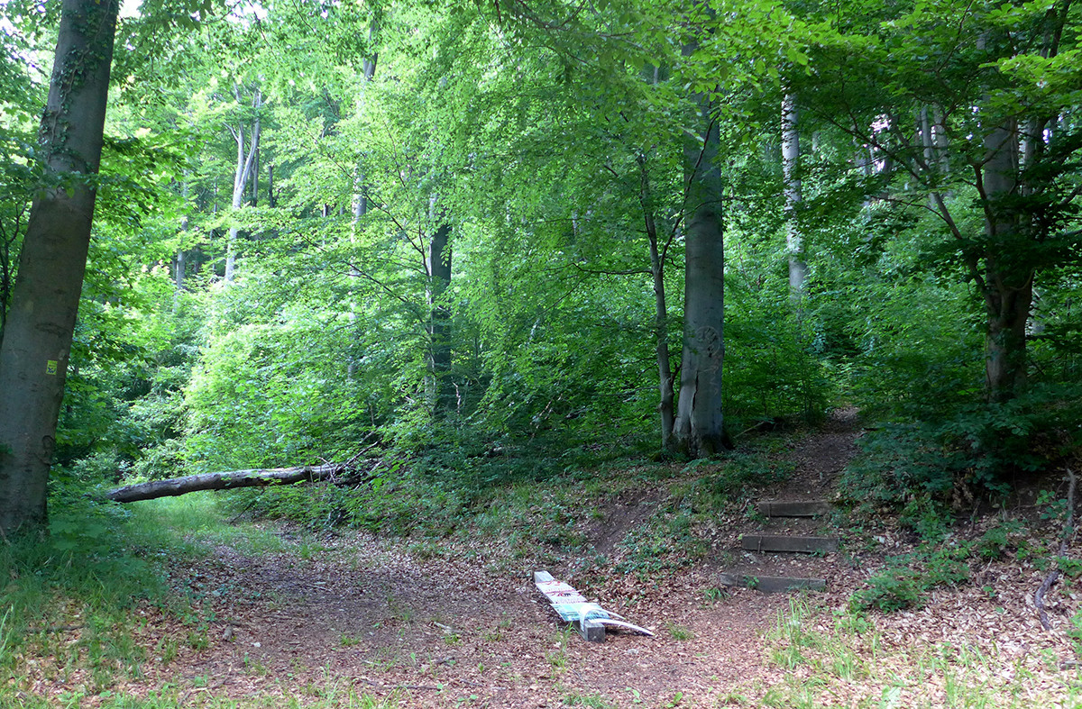 Klicke auf die Grafik für eine vergrößerte Ansicht  Name: Weserberglandweg_645.jpg Ansichten: 0 Größe: 670,2 KB ID: 3328359