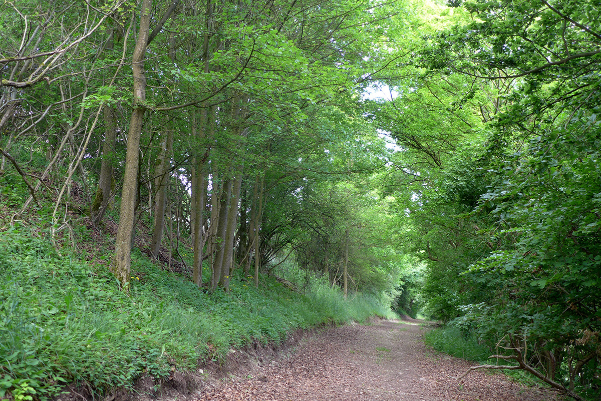 Klicke auf die Grafik für eine vergrößerte Ansicht  Name: Weserberglandweg_651.jpg Ansichten: 0 Größe: 720,7 KB ID: 3328360