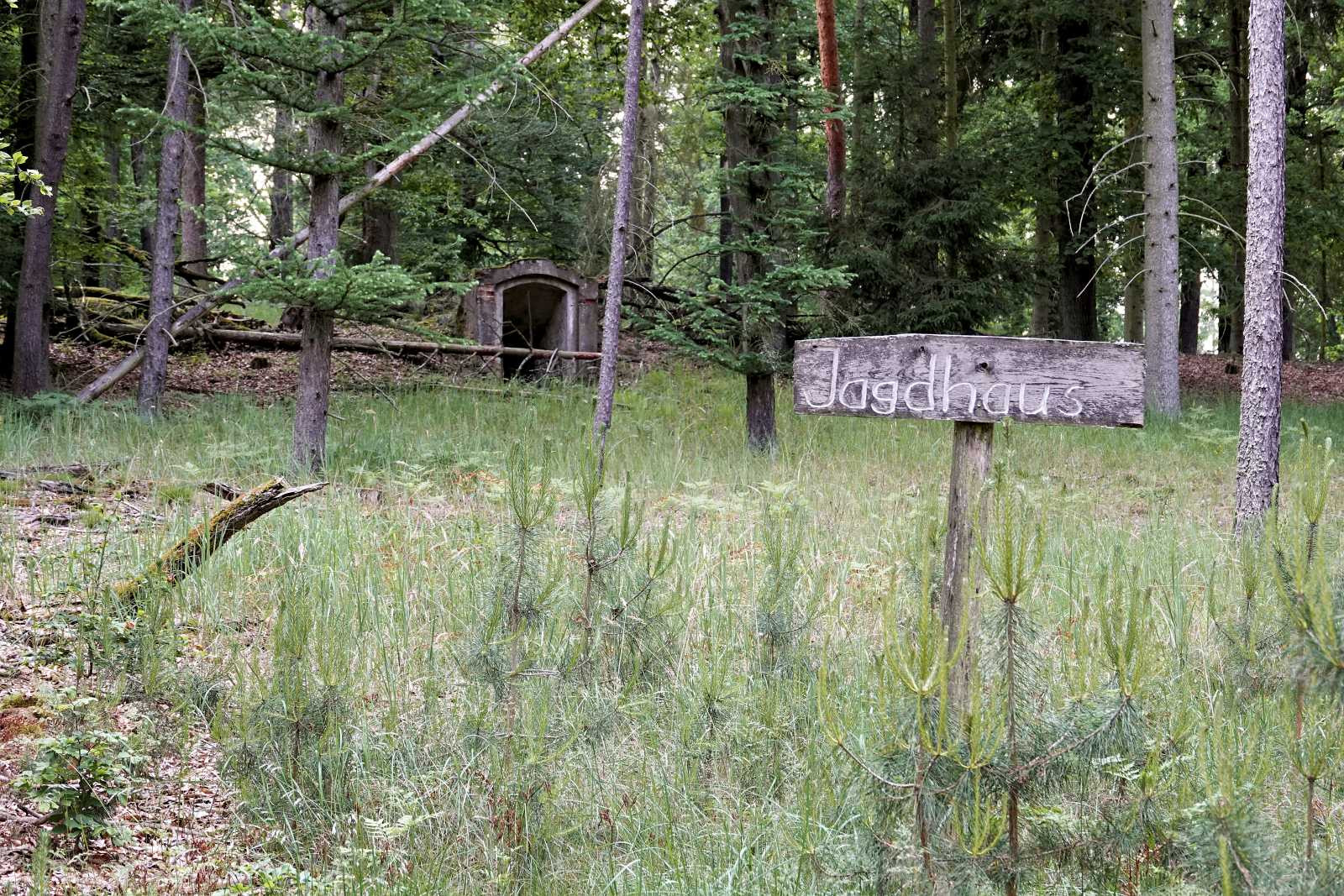 Klicke auf die Grafik für eine vergrößerte Ansicht  Name: _SNY1816R.jpg Ansichten: 0 Größe: 772,1 KB ID: 3328832