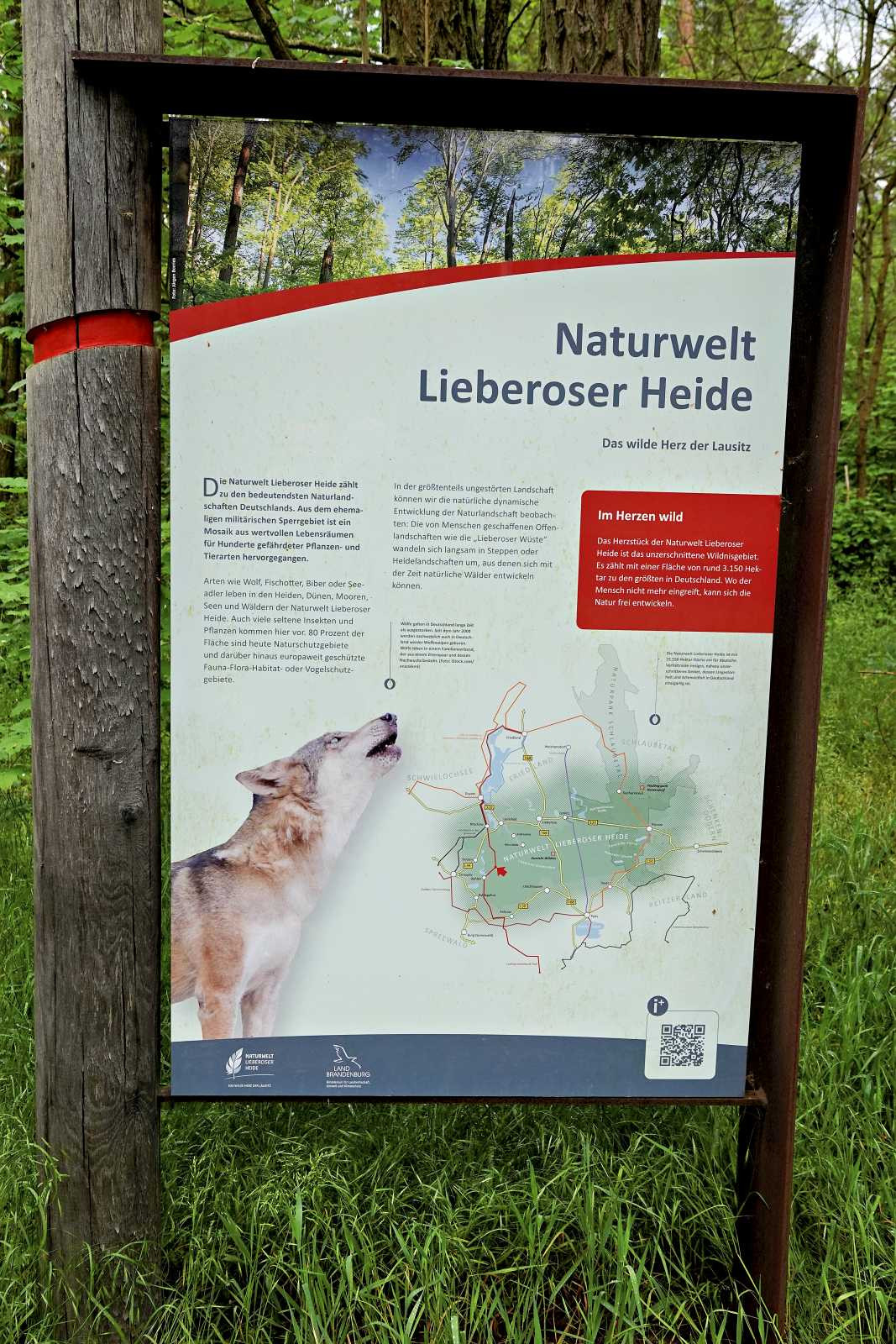 Klicke auf die Grafik für eine vergrößerte Ansicht  Name: _SNY1839R.jpg Ansichten: 0 Größe: 567,8 KB ID: 3328846