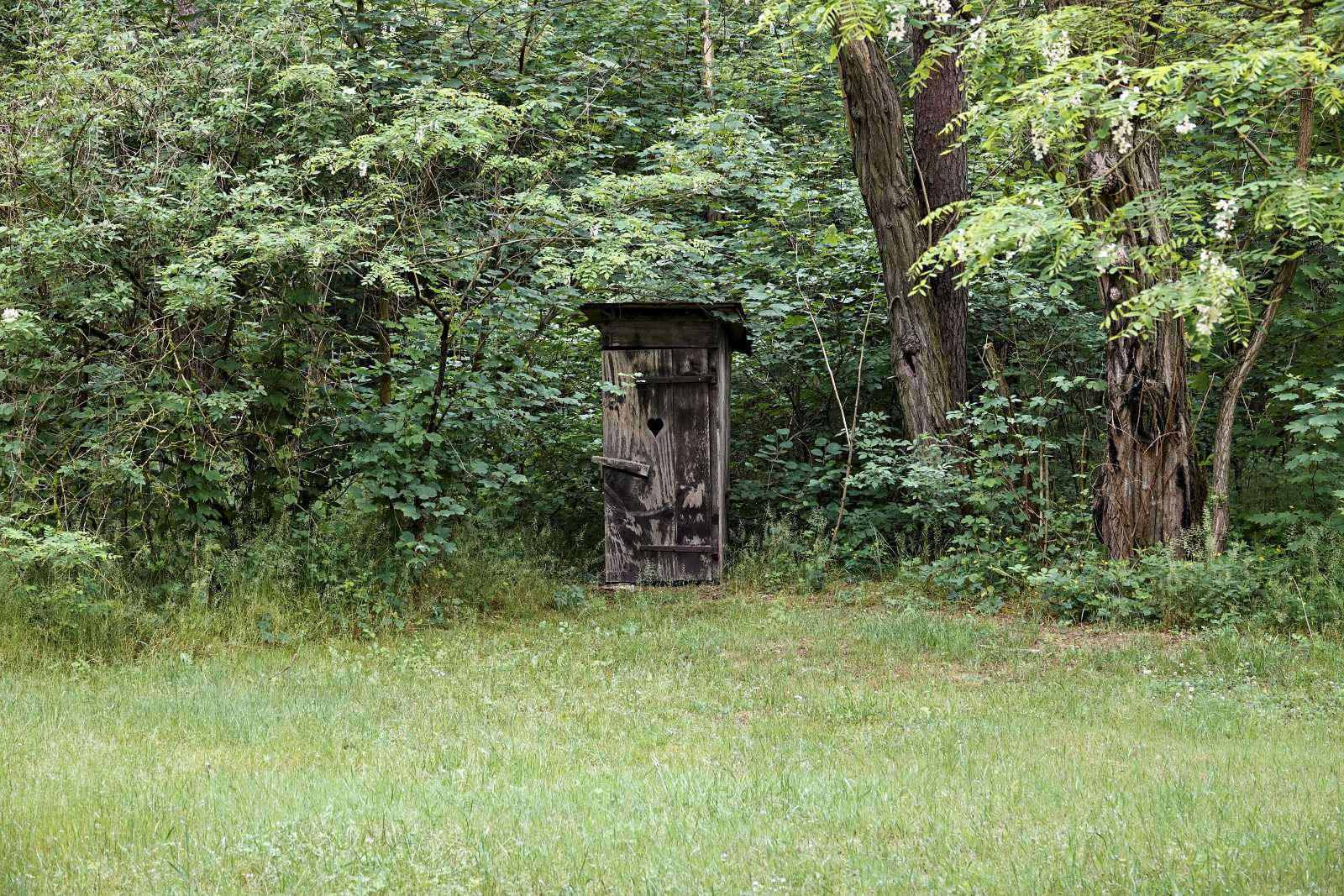 Klicke auf die Grafik für eine vergrößerte Ansicht  Name: _SNY1840R.jpg Ansichten: 0 Größe: 870,5 KB ID: 3328848