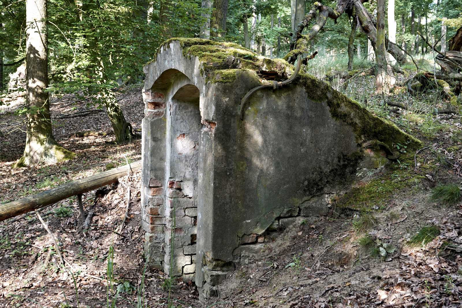 Klicke auf die Grafik für eine vergrößerte Ansicht  Name: _SNY1855R.jpg Ansichten: 0 Größe: 812,3 KB ID: 3329704