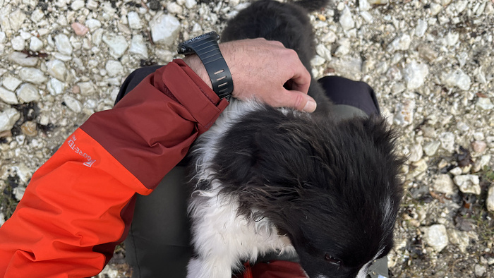 Klicke auf die Grafik für eine vergrößerte Ansicht  Name: IMG_8583.jpg Ansichten: 0 Größe: 552,6 KB ID: 3364796