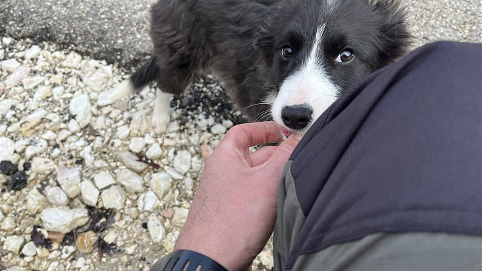 Klicke auf die Grafik für eine vergrößerte Ansicht  Name: IMG_8582.jpg Ansichten: 0 Größe: 514,9 KB ID: 3364795