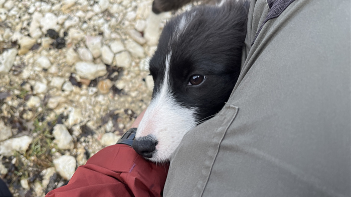 Klicke auf die Grafik für eine vergrößerte Ansicht  Name: IMG_8581.jpg Ansichten: 0 Größe: 461,5 KB ID: 3364794