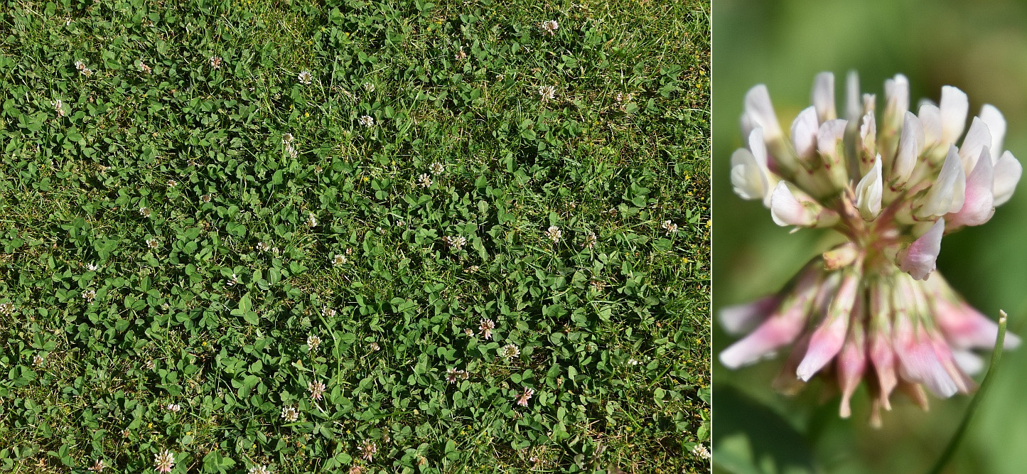 Klicke auf die Grafik für eine vergrößerte Ansicht

Name: 65 Blüten 01.jpg
Ansichten: 34
Größe: 648,1 KB
ID: 3329967