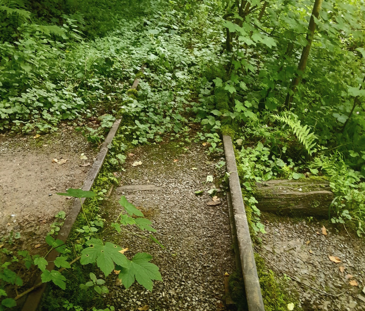 Klicke auf die Grafik für eine vergrößerte Ansicht

Name: Jagsttalbahn1.jpg
Ansichten: 0
Größe: 654,2 KB
ID: 3330516