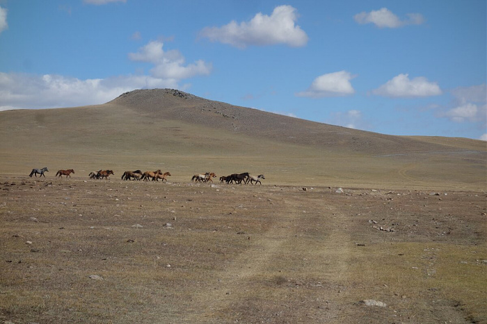 Klicke auf die Grafik für eine vergrößerte Ansicht

Name: mongolei332.jpg
Ansichten: 66
Größe: 197,8 KB
ID: 3331025
