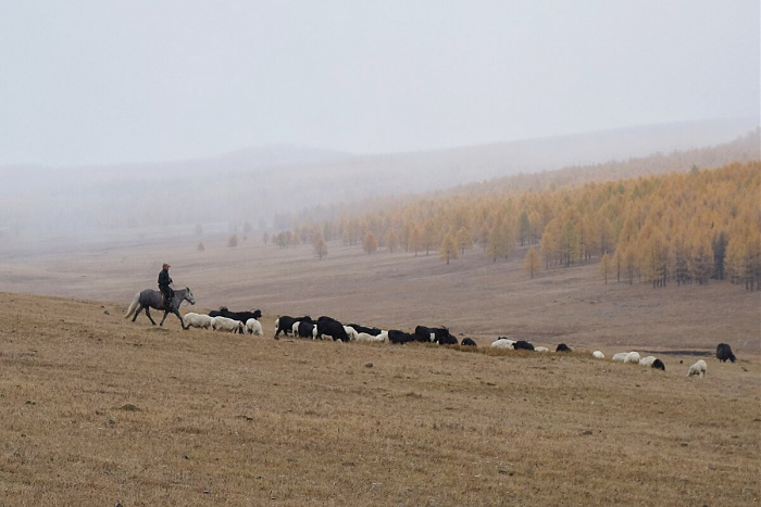 Klicke auf die Grafik für eine vergrößerte Ansicht

Name: mongolei349.jpg
Ansichten: 66
Größe: 153,5 KB
ID: 3331041