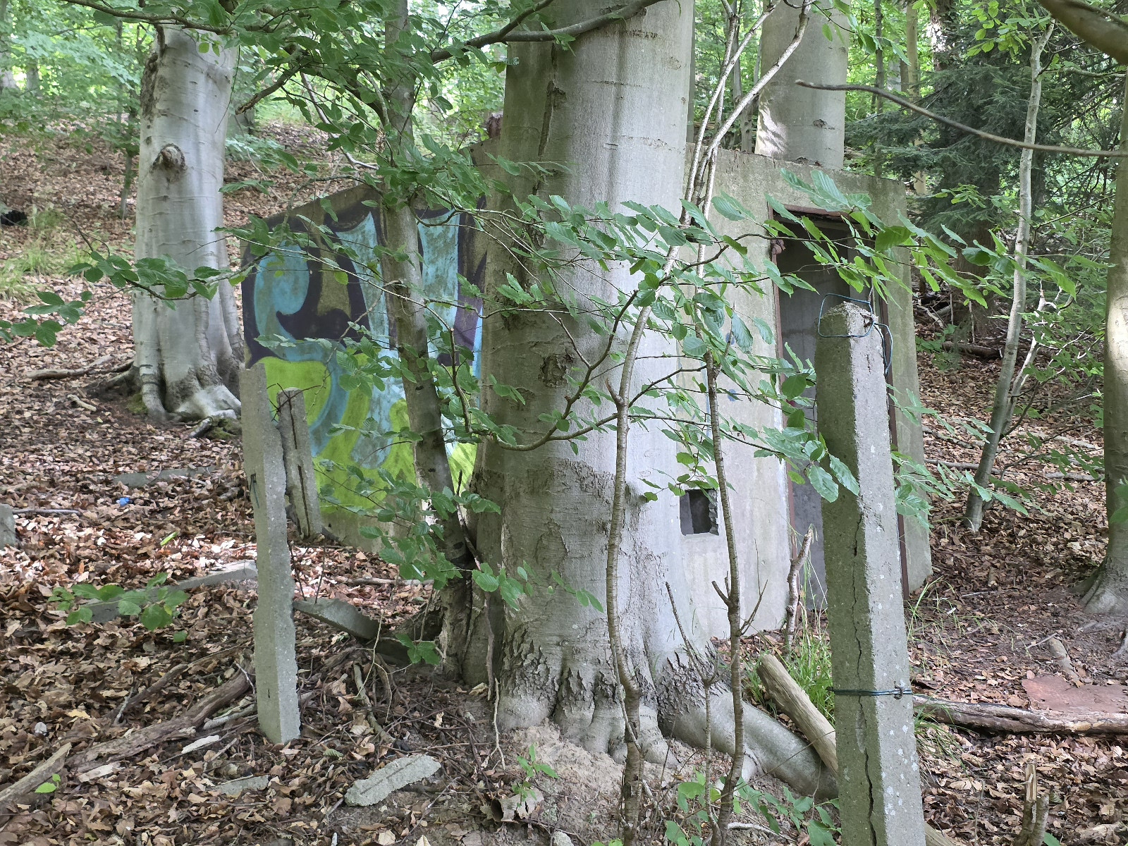 Klicke auf die Grafik für eine vergrößerte Ansicht

Name: 205 Schutzhütte im Waldparkplatz der Ostseetherme Scharbeutz 03.jpg
Ansichten: 75
Größe: 1,05 MB
ID: 3331497