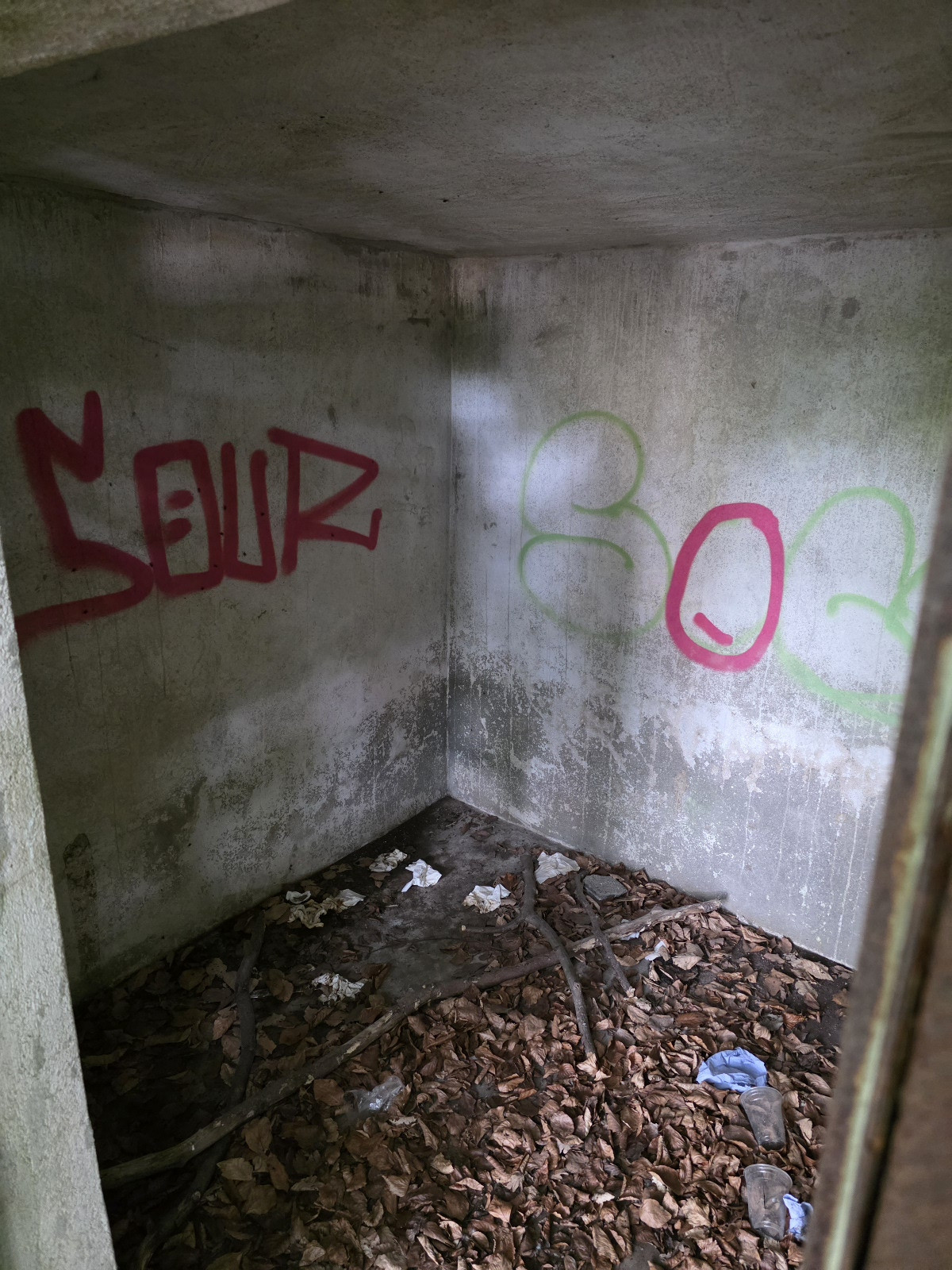 Klicke auf die Grafik für eine vergrößerte Ansicht

Name: 205 Schutzhütte im Waldparkplatz der Ostseetherme Scharbeutz 02.jpg
Ansichten: 74
Größe: 574,3 KB
ID: 3331498