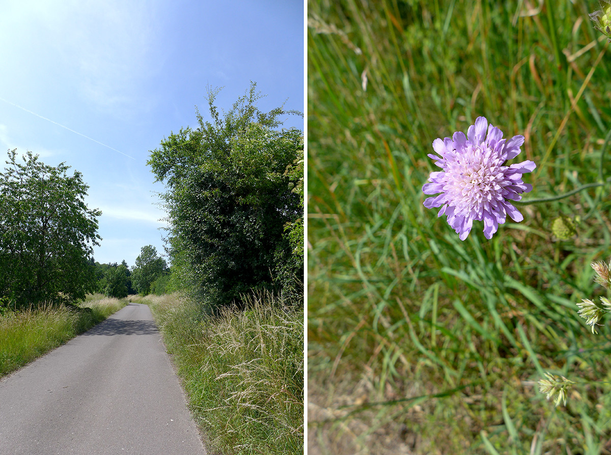 Klicke auf die Grafik für eine vergrößerte Ansicht  Name: Weserberglandweg_659.jpg Ansichten: 0 Größe: 450,6 KB ID: 3331564