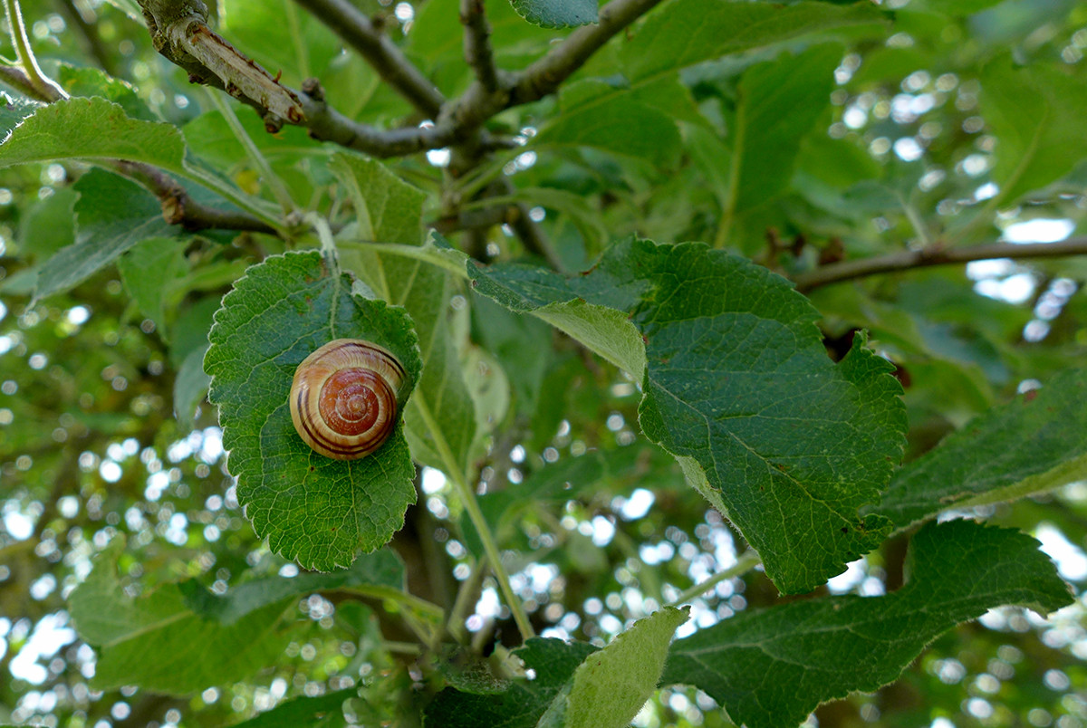 Klicke auf die Grafik für eine vergrößerte Ansicht  Name: Weserberglandweg_658.jpg Ansichten: 0 Größe: 322,1 KB ID: 3331567