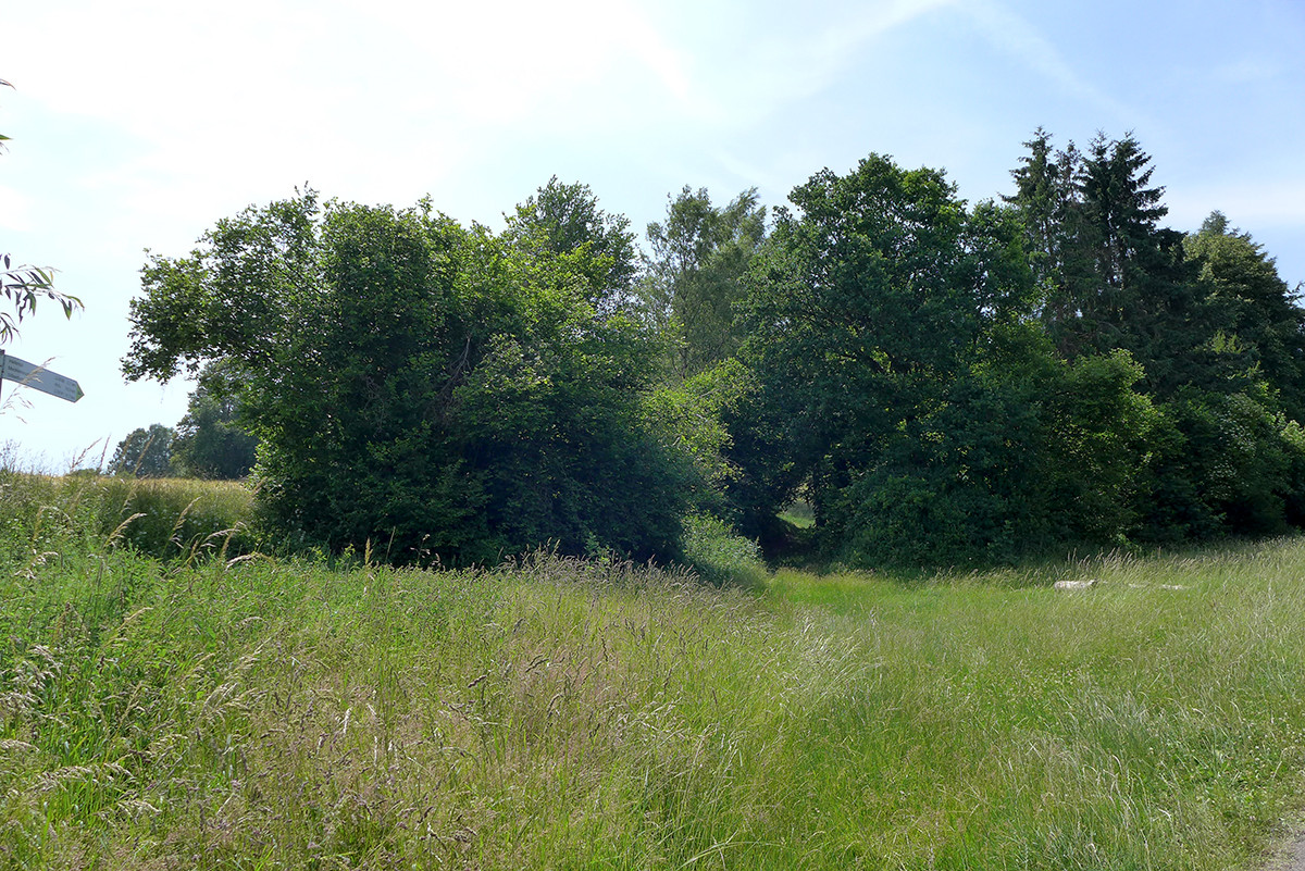 Klicke auf die Grafik für eine vergrößerte Ansicht  Name: Weserberglandweg_660.jpg Ansichten: 0 Größe: 496,5 KB ID: 3331568