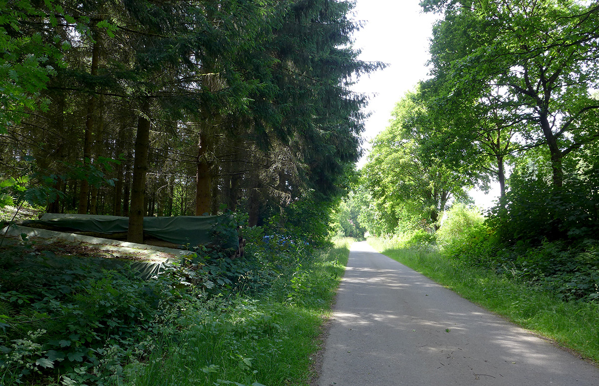 Klicke auf die Grafik für eine vergrößerte Ansicht  Name: Weserberglandweg_662.jpg Ansichten: 0 Größe: 533,2 KB ID: 3331570