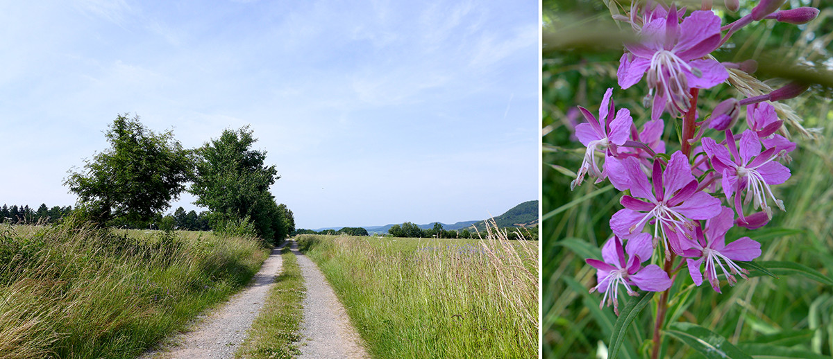 Klicke auf die Grafik für eine vergrößerte Ansicht  Name: Weserberglandweg_669.jpg Ansichten: 0 Größe: 268,2 KB ID: 3331573