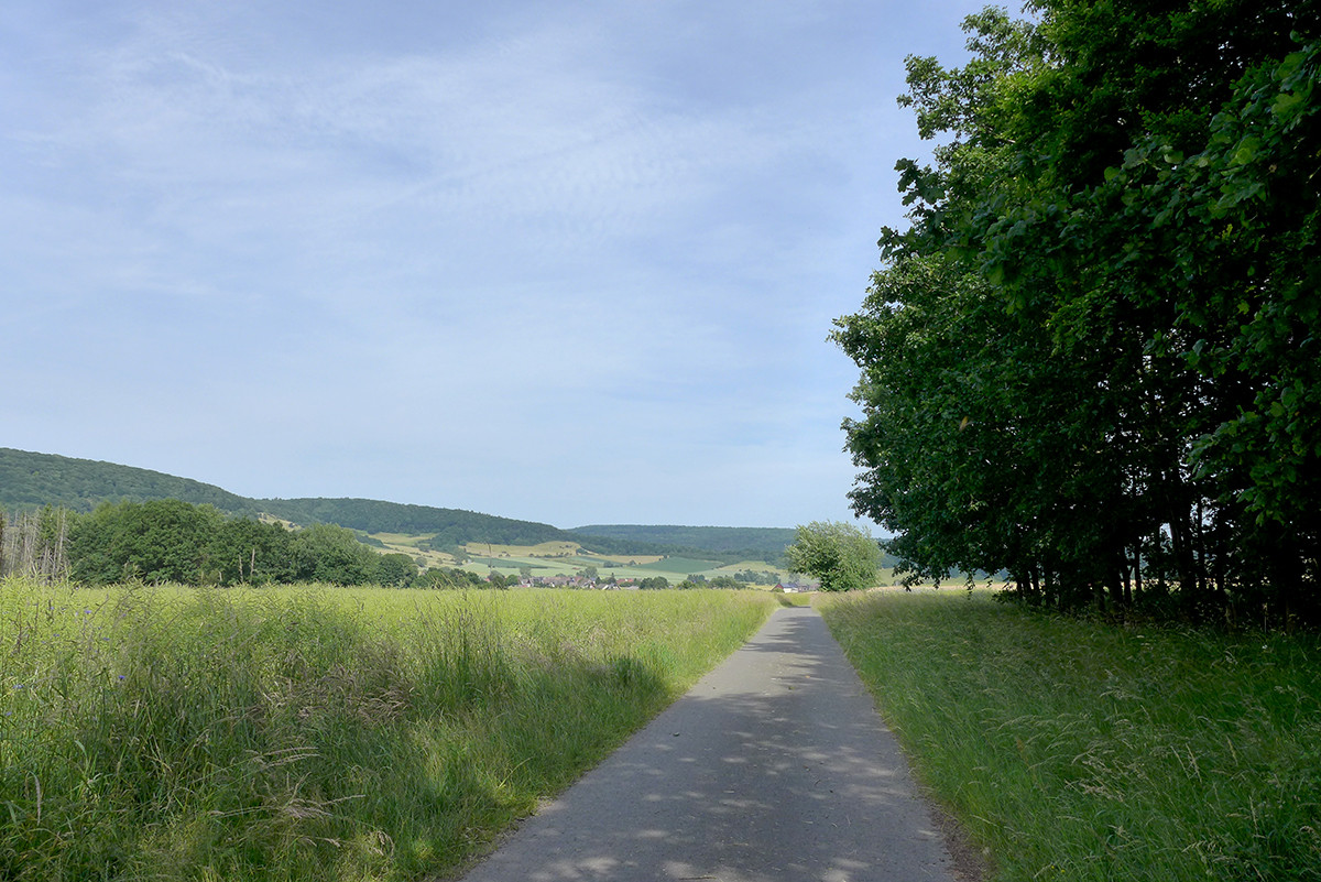 Klicke auf die Grafik für eine vergrößerte Ansicht  Name: Weserberglandweg_670.jpg Ansichten: 0 Größe: 344,2 KB ID: 3331574