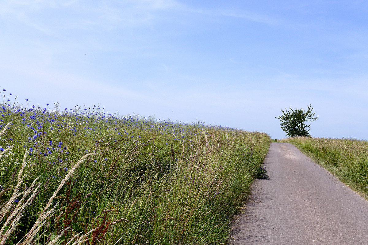Klicke auf die Grafik für eine vergrößerte Ansicht  Name: Weserberglandweg_667.jpg Ansichten: 0 Größe: 433,5 KB ID: 3331577