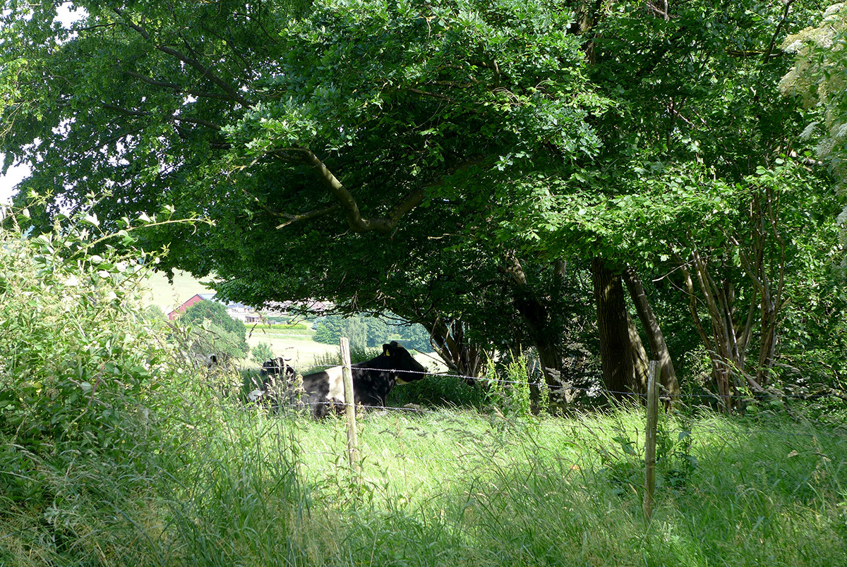Klicke auf die Grafik für eine vergrößerte Ansicht  Name: Weserberglandweg_672.jpg Ansichten: 0 Größe: 708,7 KB ID: 3331579