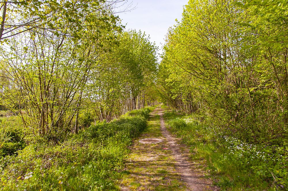 Klicke auf die Grafik für eine vergrößerte Ansicht  Name: 13 Abwechslung pur am Moselradweg.jpg Ansichten: 0 Größe: 534,7 KB ID: 3332029