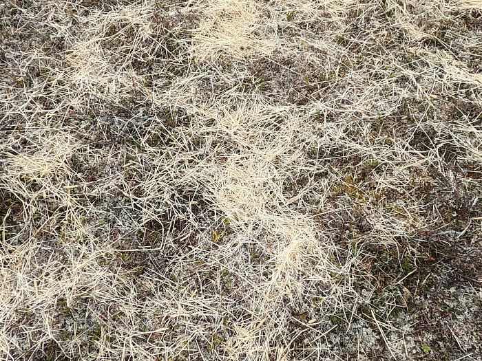 Klicke auf die Grafik für eine vergrößerte Ansicht

Name: GOPR2149.jpg
Ansichten: 79
Größe: 1.010,6 KB
ID: 3332147