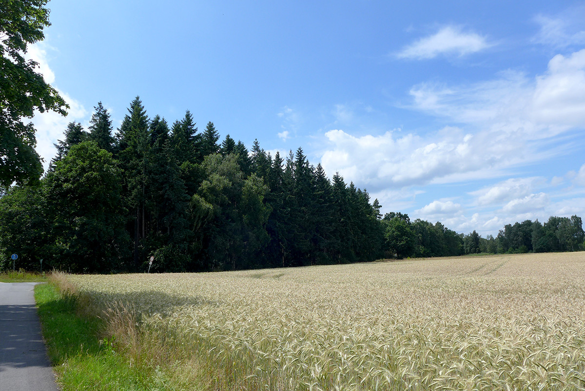 Klicke auf die Grafik für eine vergrößerte Ansicht

Name: Abendradeln_843.jpg
Ansichten: 82
Größe: 382,3 KB
ID: 3332734