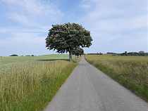 Klicke auf die Grafik für eine vergrößerte Ansicht  Name: 20250617_162500.jpg Ansichten: 3 Größe: 898,5 KB ID: 3334371