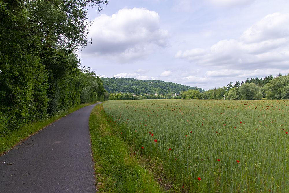 Klicke auf die Grafik für eine vergrößerte Ansicht  Name: 06 Wir sind wieder an der Mosel.jpg Ansichten: 0 Größe: 238,3 KB ID: 3335444