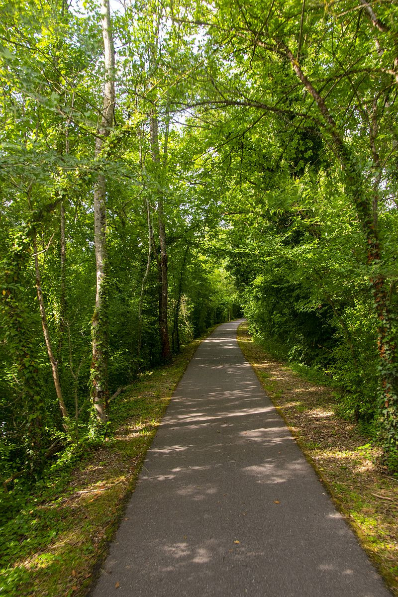 Klicke auf die Grafik für eine vergrößerte Ansicht  Name: 12 Toller Moselradweg bei Pagny sur Moselle.jpg Ansichten: 0 Größe: 609,4 KB ID: 3335452