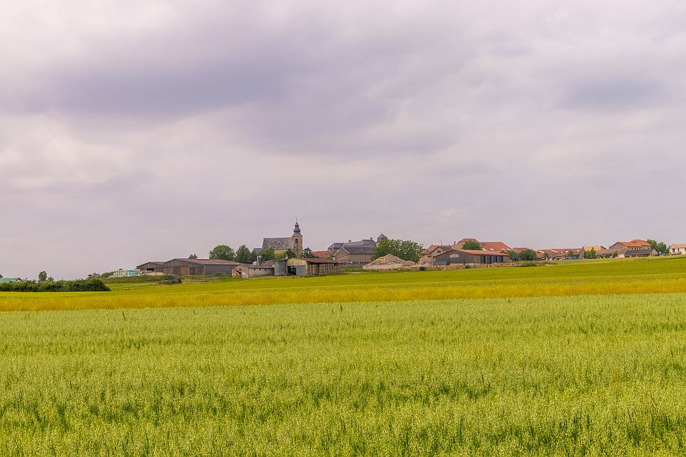 Klicke auf die Grafik für eine vergrößerte Ansicht  Name: 12 Berg sur Moselle.jpg Ansichten: 0 Größe: 196,6 KB ID: 3336807