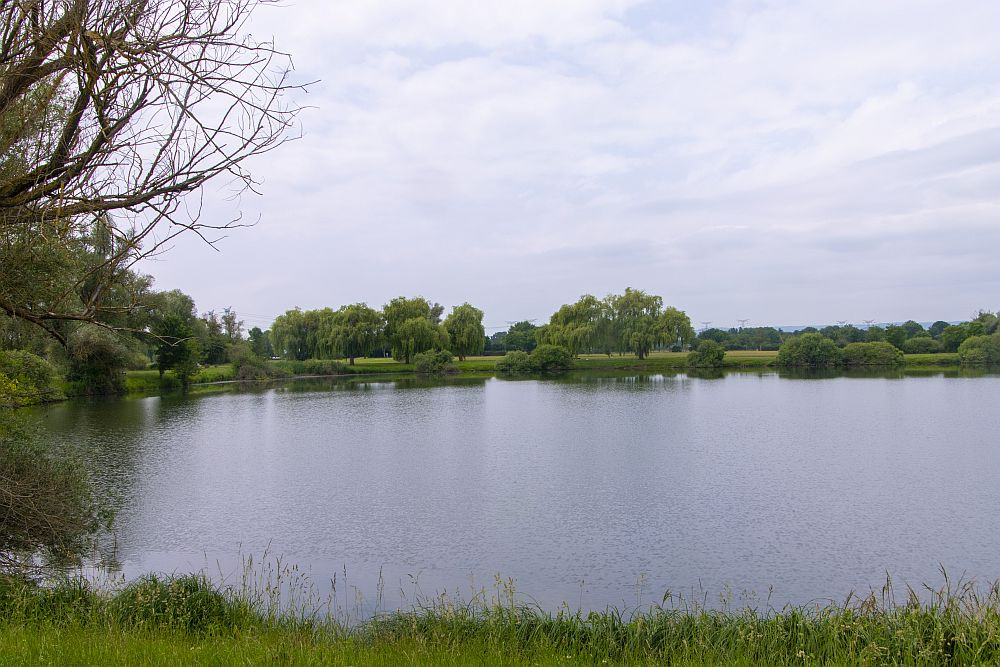Klicke auf die Grafik für eine vergrößerte Ansicht  Name: 11 Einer der Seen in der Moselaue bei Cattenom.jpg Ansichten: 0 Größe: 206,8 KB ID: 3336808