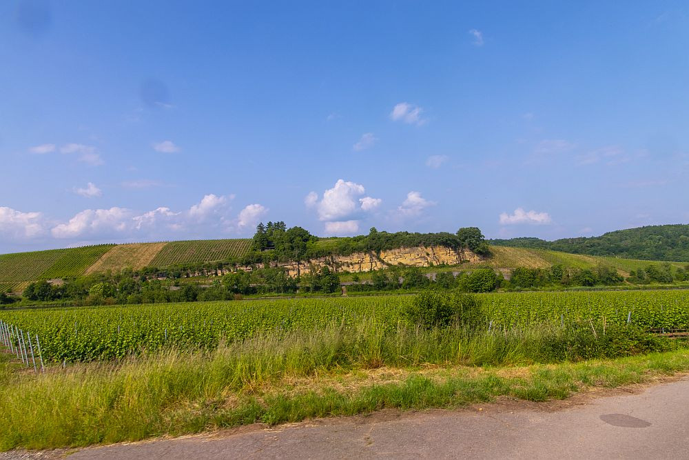 Klicke auf die Grafik für eine vergrößerte Ansicht  Name: 21 Felsige Weinberge bei Palzem.jpg Ansichten: 0 Größe: 213,5 KB ID: 3336821