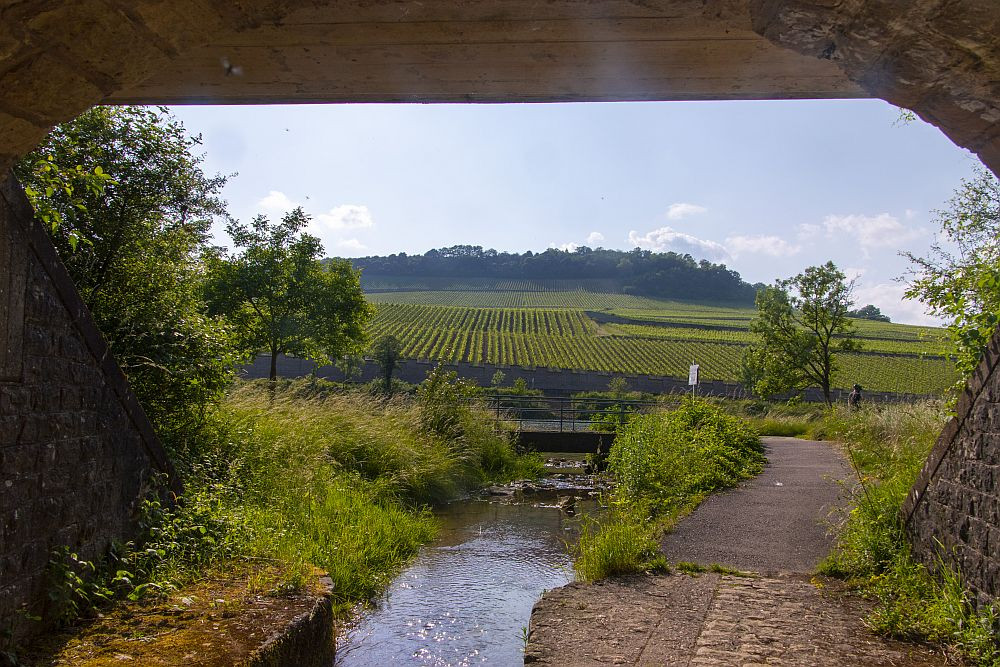 Klicke auf die Grafik für eine vergrößerte Ansicht  Name: 23 Zurück an der Mosel.jpg Ansichten: 0 Größe: 304,9 KB ID: 3336823